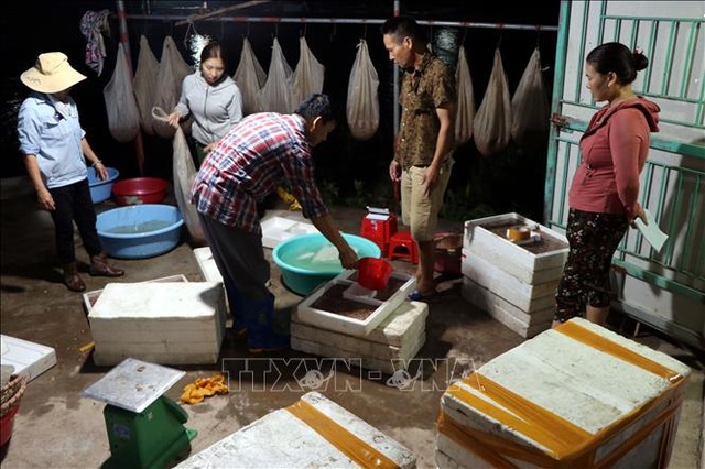 Hải Dương: Rươi đầu vụ được mùa - 4 Hải Dương: Rươi đầu vụ được mùa - 4