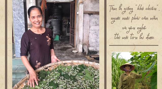 Thăm làng nghề trồng dâu nuôi tằm còn sót lại ở xứ Nghệ - 1 Thăm làng nghề trồng dâu nuôi tằm còn sót lại ở xứ Nghệ - 1