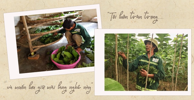 Thăm làng nghề trồng dâu nuôi tằm còn sót lại ở xứ Nghệ - 6 Thăm làng nghề trồng dâu nuôi tằm còn sót lại ở xứ Nghệ - 6
