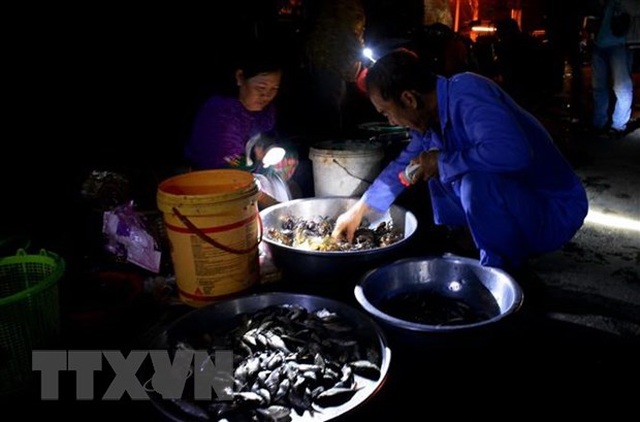 Trải nghiệm một ngày mùa nước nổi cùng ngư dân Đồng Tháp - 3 Trải nghiệm một ngày mùa nước nổi cùng ngư dân Đồng Tháp - 3