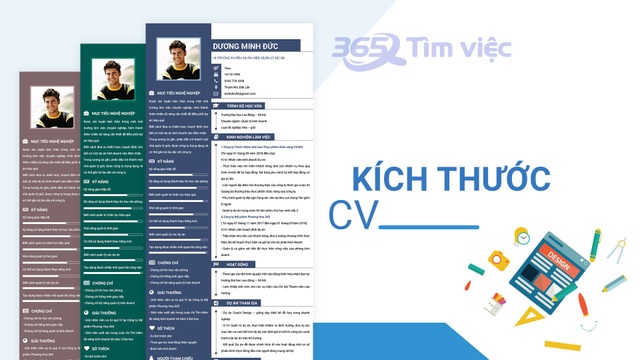 Tạo CV Tiếng Hàn trên Timviec365.vn – Tràn đầy tự tin trước nhà tuyển dụng - 3
