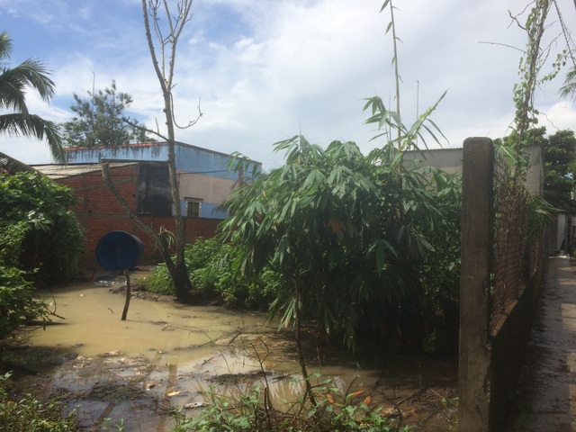 Vụ TAND huyện Mỏ Cày Nam vi phạm tố tụng: Tạm dừng xét xử để làm rõ thêm chứng cứ - 1 Vụ TAND huyện Mỏ Cày Nam vi phạm tố tụng: Tạm dừng xét xử để làm rõ thêm chứng cứ - 1