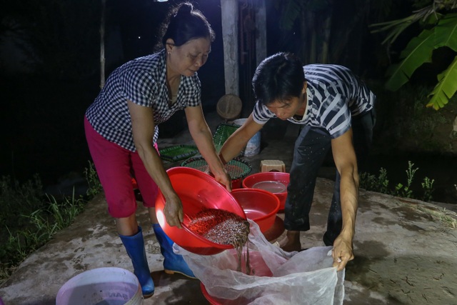Hải Dương: Chong đèn đi săn lộc trời, kiếm hàng chục triệu mỗi đêm - 10 Hải Dương: Chong đèn đi săn lộc trời, kiếm hàng chục triệu mỗi đêm - 10