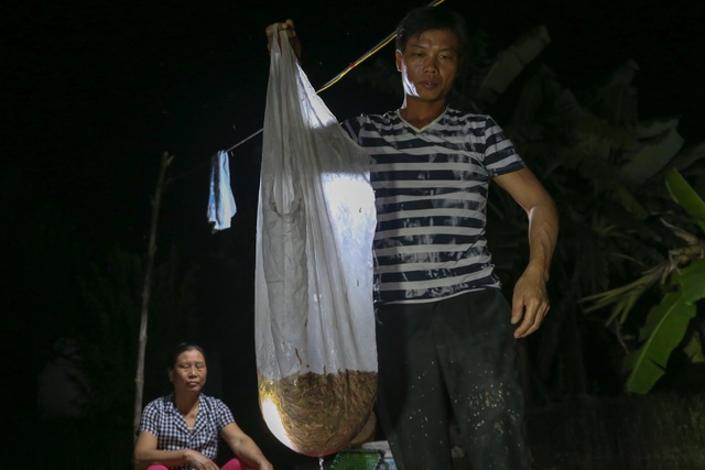 Hải Dương: Chong đèn đi săn lộc trời, kiếm hàng chục triệu mỗi đêm - 5 Hải Dương: Chong đèn đi săn lộc trời, kiếm hàng chục triệu mỗi đêm - 5