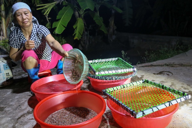 Hải Dương: Chong đèn đi săn lộc trời, kiếm hàng chục triệu mỗi đêm - 15 Hải Dương: Chong đèn đi săn lộc trời, kiếm hàng chục triệu mỗi đêm - 15