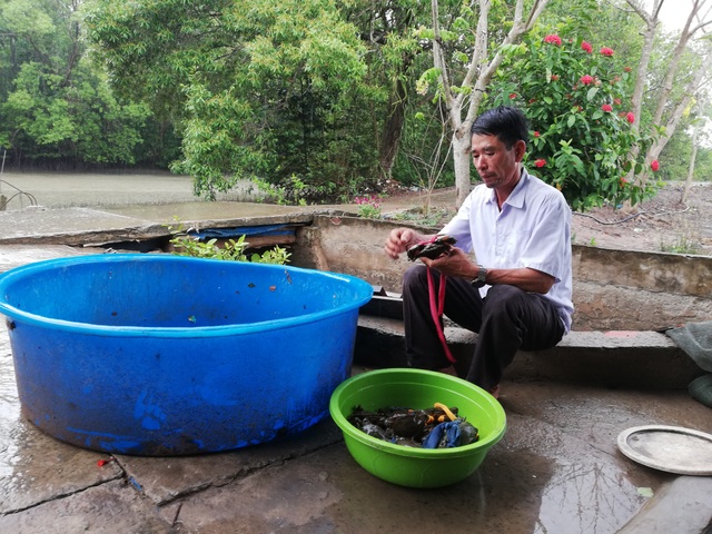 Cà Mau: Xây dựng Làng văn  hóa du lịch có điểm đến hấp dẫn - 6