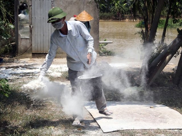 Mặc bão dịch, nhiều chủ trại chăn nuôi lợn vẫn tự tin tái đàn đón Tết - 3 Mặc bão dịch, nhiều chủ trại chăn nuôi lợn vẫn tự tin tái đàn đón Tết - 3