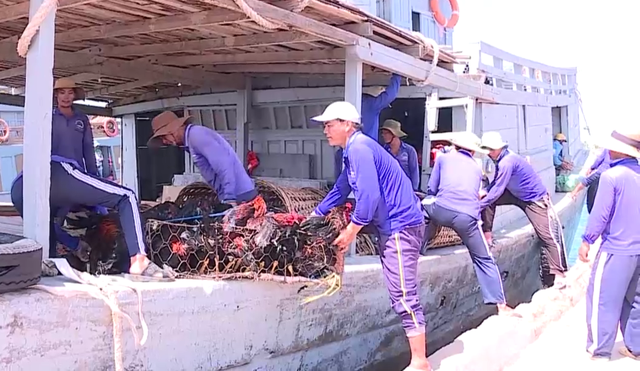 Lý Sơn tích trữ nhu yếu phẩm, đề phòng bị bão cô lập hàng chục ngày - 1 Lý Sơn tích trữ nhu yếu phẩm, đề phòng bị bão cô lập hàng chục ngày - 1