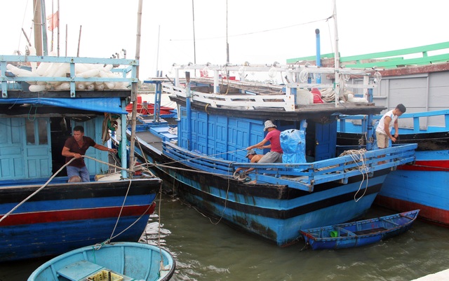 Phú Yên, Ninh Thuận hối hả phòng chống bão số 5 - 1 Phú Yên, Ninh Thuận hối hả phòng chống bão số 5 - 1