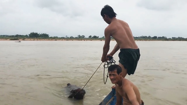Phú Yên, Ninh Thuận hối hả phòng chống bão số 5 - 7 Phú Yên, Ninh Thuận hối hả phòng chống bão số 5 - 7