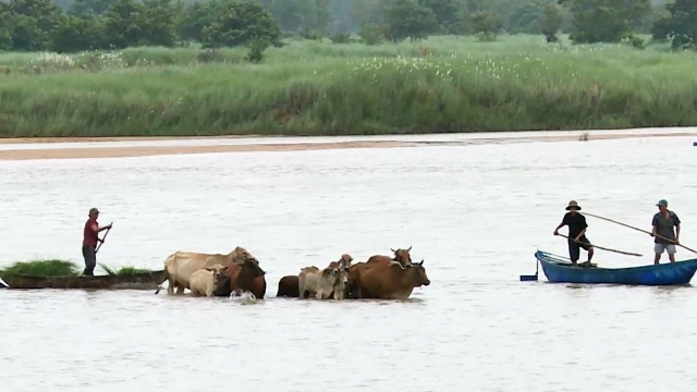 Phú Yên, Ninh Thuận hối hả phòng chống bão số 5 - 6 Phú Yên, Ninh Thuận hối hả phòng chống bão số 5 - 6