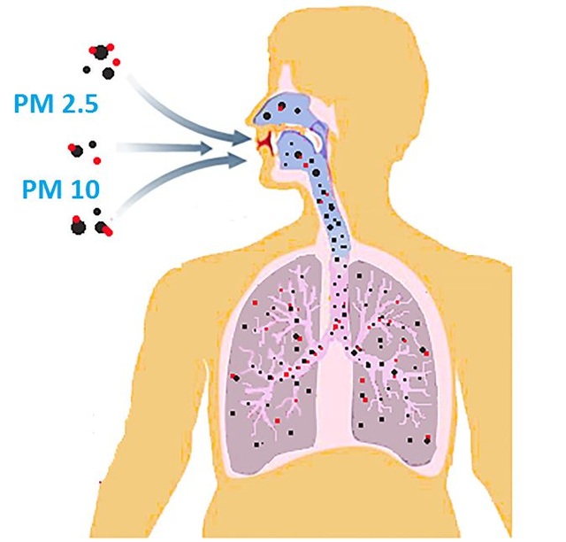 Ô nhiễm không khí: Ngoài bụi mịn còn có thêm những tác nhân nguy hiểm
