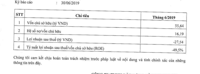 Bản báo cáo tài chính tóm tắt của Bất động sản Hoa Phượng.