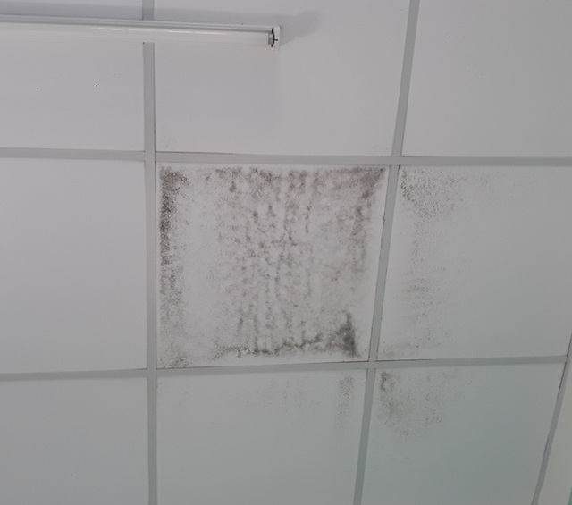 Trường mầm non tiền tỷ xây “thần tốc”, xuống cấp nhanh - 6 Trường mầm non tiền tỷ xây “thần tốc”, xuống cấp nhanh - 6