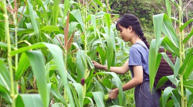 Cận cảnh cuộc sống đẹp như mơ của cô gái được ví là “tiên nữ đồng quê” của Việt Nam - 7