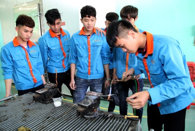 Chọn nghề trên thiết bị di động: Kết quả tuyển sinh tăng 12% - 1 Chọn nghề trên thiết bị di động: Kết quả tuyển sinh tăng 12% - 1