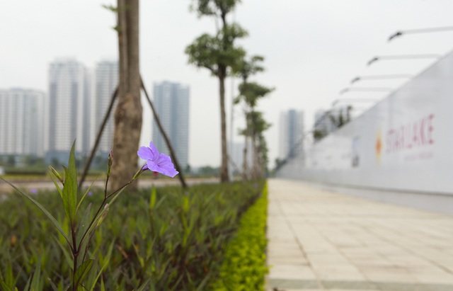 Hà Nội: Xuất hiện thêm thiên đường hoa sữa mới - 9 Hà Nội: Xuất hiện thêm thiên đường hoa sữa mới - 9
