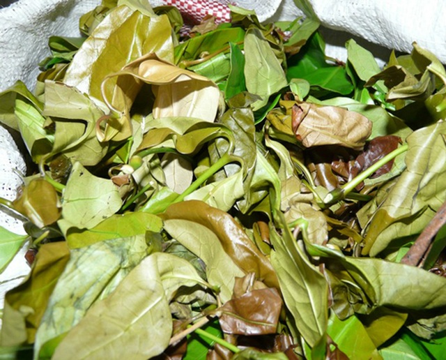 Canh “thụt”, gỏi cá kiến vàng – những món ăn có tên lạ lùng nhưng ngon trứ danh - 1 Canh “thụt”, gỏi cá kiến vàng – những món ăn có tên lạ lùng nhưng ngon trứ danh - 1