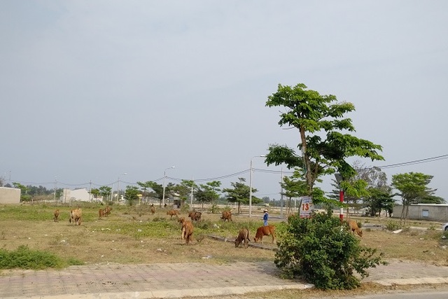 Giới đầu cơ chiếm đa số những người mua đất nền tại khu vực Nam Đà Nẵng