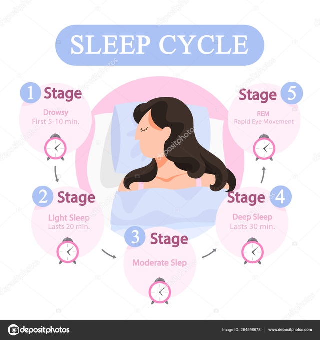 Bộ não sẽ tự “rửa sạch” các chất độc khi chúng ta ngủ theo đúng nghĩa đen - 1 Bộ não sẽ tự “rửa sạch” các chất độc khi chúng ta ngủ theo đúng nghĩa đen - 1