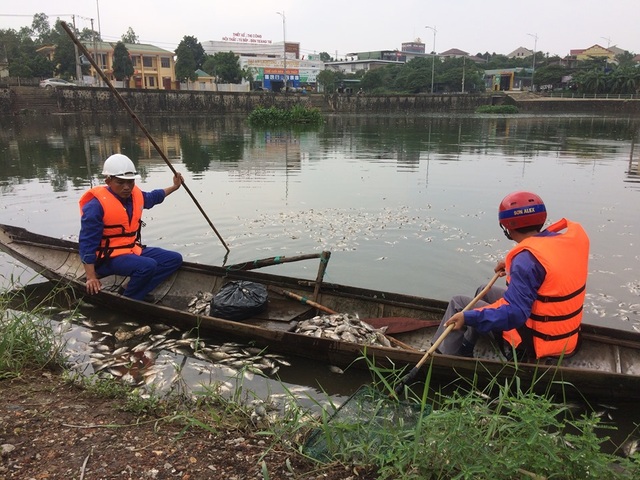 Hàng tấn cá chết bốc mùi hôi thối ở hồ nước giữa lòng thành phố - 2 Hàng tấn cá chết bốc mùi hôi thối ở hồ nước giữa lòng thành phố - 2