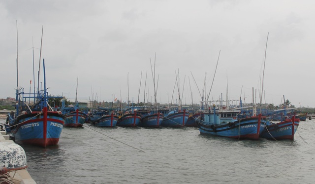 Cấm biển, cưỡng chế các hộ dân khu vực nguy hiểm để ứng phó với bão số 6 - 1 Cấm biển, cưỡng chế các hộ dân khu vực nguy hiểm để ứng phó với bão số 6 - 1