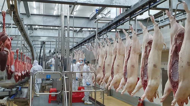Thịt mát an toàn cho người tiêu dùng, sắp tới bỏ dần thịt nóng - 5 Thịt mát an toàn cho người tiêu dùng, sắp tới bỏ dần thịt nóng - 5