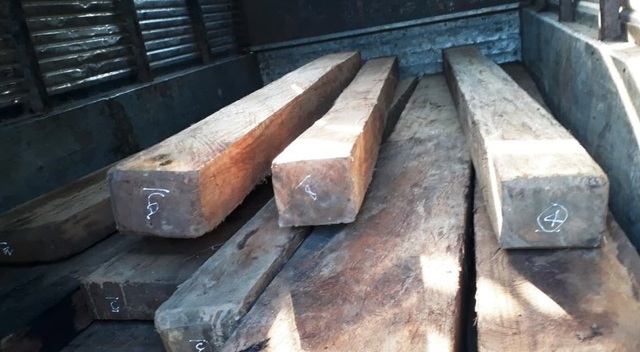 Khởi tố 2 đối tượng chở gỗ lậu tông xe, hành hung lực lượng kiểm lâm - 1 Khởi tố 2 đối tượng chở gỗ lậu tông xe, hành hung lực lượng kiểm lâm - 1