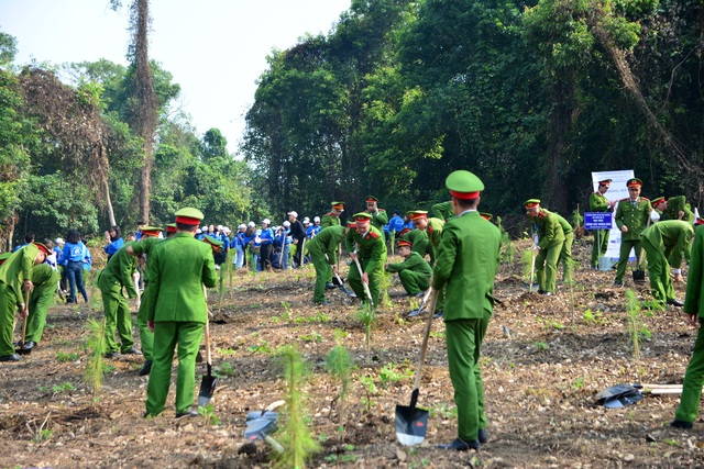 Hàng nghìn người trồng 2.000 cây Thông Mã Vĩ trên đồi cây “Dâng Bác - Ơn Thầy” - 1 Hàng nghìn người trồng 2.000 cây Thông Mã Vĩ trên đồi cây “Dâng Bác - Ơn Thầy” - 1