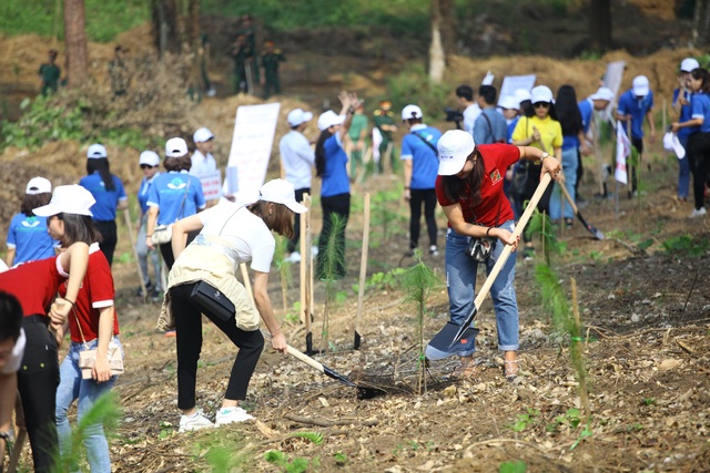 Hàng nghìn người trồng 2.000 cây Thông Mã Vĩ trên đồi cây “Dâng Bác - Ơn Thầy” - 3 Hàng nghìn người trồng 2.000 cây Thông Mã Vĩ trên đồi cây “Dâng Bác - Ơn Thầy” - 3