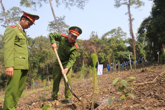 Hàng nghìn người trồng 2.000 cây Thông Mã Vĩ trên đồi cây “Dâng Bác - Ơn Thầy” - 2 Hàng nghìn người trồng 2.000 cây Thông Mã Vĩ trên đồi cây “Dâng Bác - Ơn Thầy” - 2