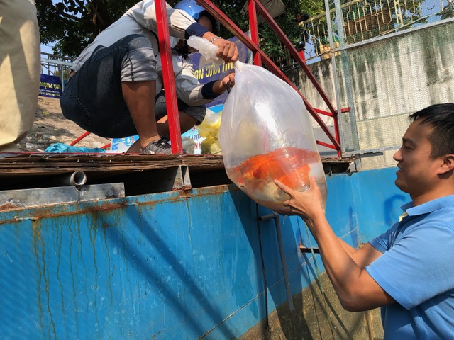 Tháo dỡ hệ thống làm sạch sông Tô Lịch, di chuyển đàn cá Koi sang Hồ Tây - 3 Tháo dỡ hệ thống làm sạch sông Tô Lịch, di chuyển đàn cá Koi sang Hồ Tây - 3