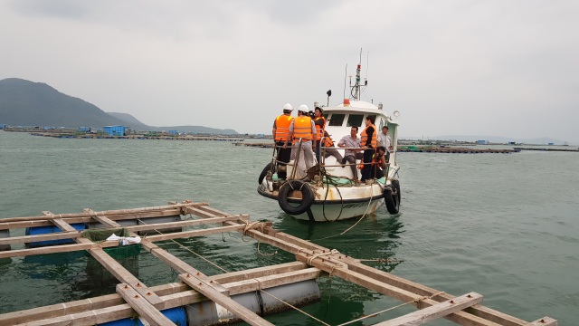 Quảng Ngãi đang mưa to gió mạnh, Phú Yên lo dân cố thủ giữ lồng bè - 8 Quảng Ngãi đang mưa to gió mạnh, Phú Yên lo dân cố thủ giữ lồng bè - 8