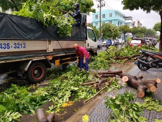 Đà Nẵng cảnh báo các chung cư di tản ô tô, đề phòng ngập nặng - 3 Đà Nẵng cảnh báo các chung cư di tản ô tô, đề phòng ngập nặng - 3