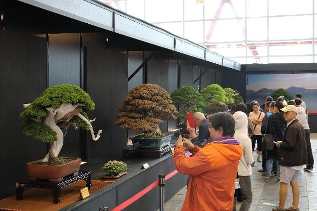 Lễ hội Bonsai Suiseki Châu Á - Thái Bình Dương tại Suối Tiên - 2 Lễ hội Bonsai Suiseki Châu Á - Thái Bình Dương tại Suối Tiên - 2