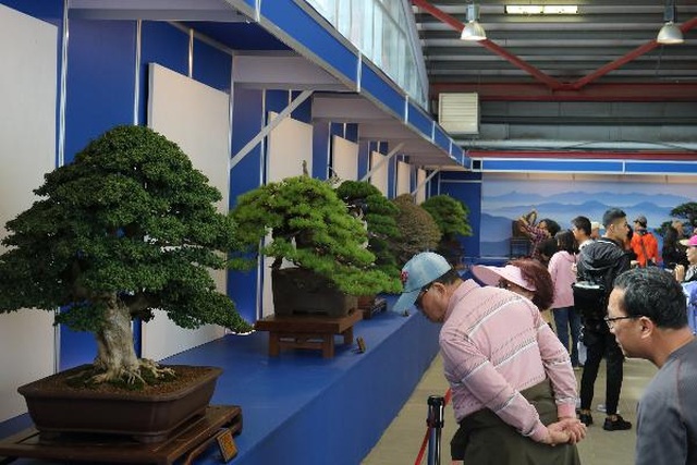 Lễ hội Bonsai Suiseki Châu Á - Thái Bình Dương tại Suối Tiên - 3 Lễ hội Bonsai Suiseki Châu Á - Thái Bình Dương tại Suối Tiên - 3