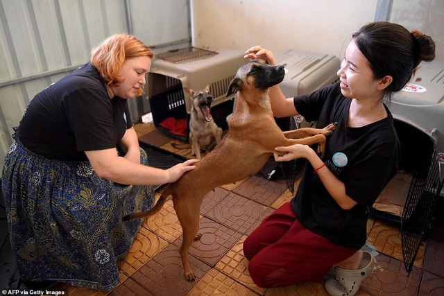 Người đàn ông vừa làm thịt chó vừa bật khóc nói lời xin lỗi - 6