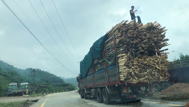 Thừa Thiên Huế: Thưởng Tết thấp nhất chỉ... 100.000 đồng - 2 Thừa Thiên Huế: Thưởng Tết thấp nhất chỉ... 100.000 đồng - 2