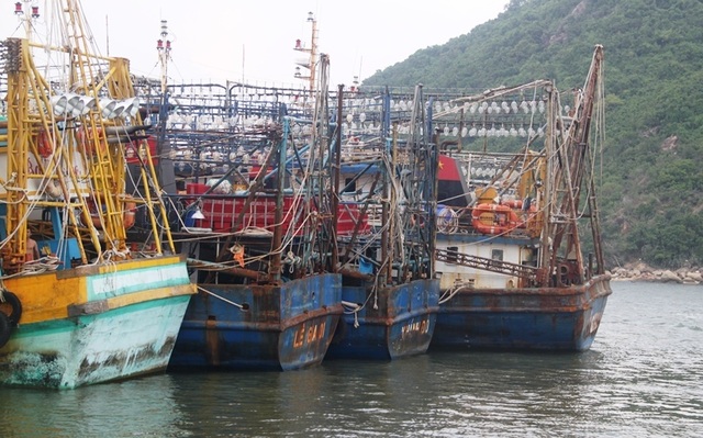 Chủ tàu 67 “cầu cứu” vì công ty bảo hiểm ngừng bán bảo hiểm tàu cá - 1 Chủ tàu 67 “cầu cứu” vì công ty bảo hiểm ngừng bán bảo hiểm tàu cá - 1