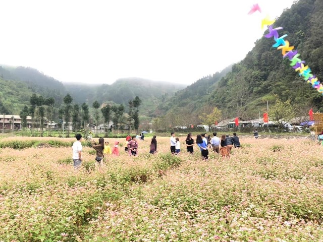 “Hà Giang cần biến Di sản thành thương hiệu du lịch” - 5 “Hà Giang cần biến Di sản thành thương hiệu du lịch” - 5