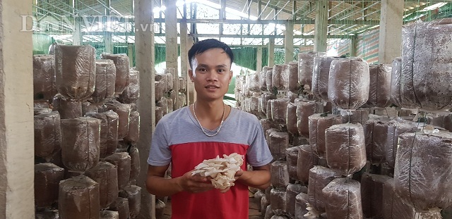 Chán lương công nhân, 9X về trồng nấm, kiếm 30 triệu/tháng - 1 Chán lương công nhân, 9X về trồng nấm, kiếm 30 triệu/tháng - 1
