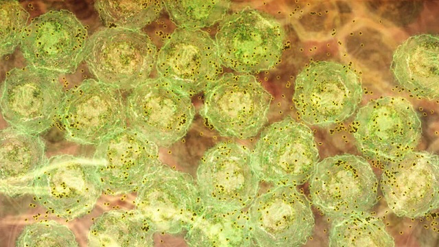 Phương pháp điều trị HIV kiểu mới nhờ… bệnh sốt rét - 1 Phương pháp điều trị HIV kiểu mới nhờ… bệnh sốt rét - 1