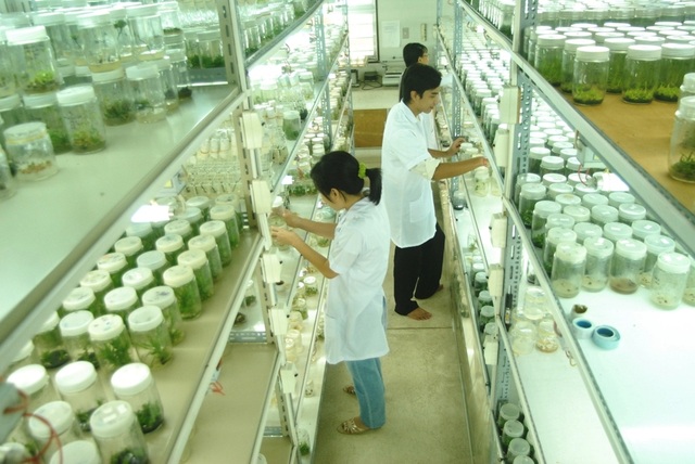 Đào tạo nhân lực cho ngành nông nghiệp công nghệ cao - 1 Đào tạo nhân lực cho ngành nông nghiệp công nghệ cao - 1
