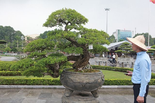 Hội nhà giàu: Vung tiền “săn” vé VIP xem bóng đá, tranh mua cua tuyết đắt như vàng! - 2 Hội nhà giàu: Vung tiền “săn” vé VIP xem bóng đá, tranh mua cua tuyết đắt như vàng! - 2
