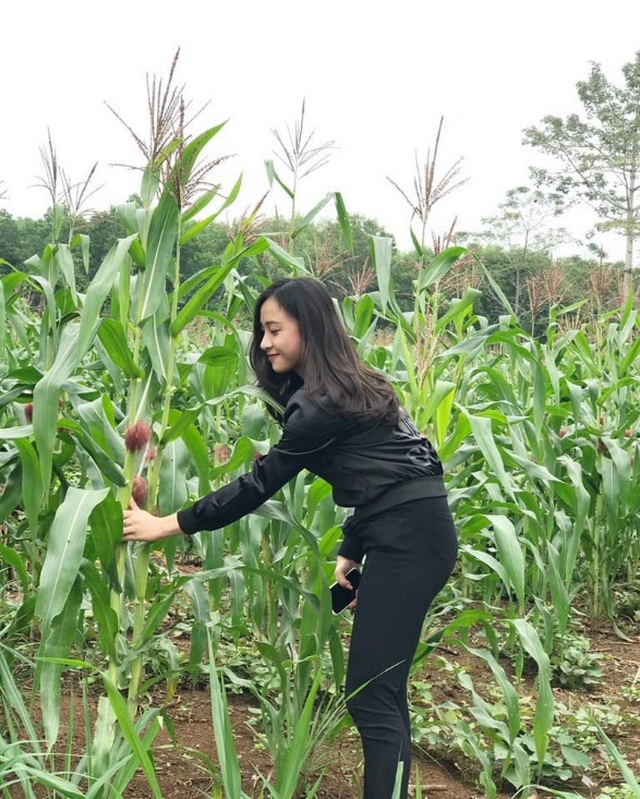 Thiếu nữ xứ Nghệ bất ngờ được dân mạng quan tâm vì nhan sắc khả ái - 4 Thiếu nữ xứ Nghệ bất ngờ được dân mạng quan tâm vì nhan sắc khả ái - 4
