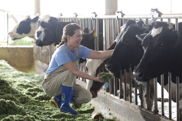 7 ngày khám phá quy trình chăm sóc bò sữa chuẩn Hà Lan - 4