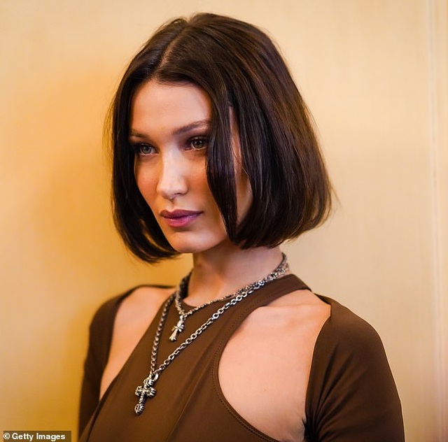 Người mẫu Bella Hadid quyên tặng 600 cây xanh vì “cảm thấy có lỗi”