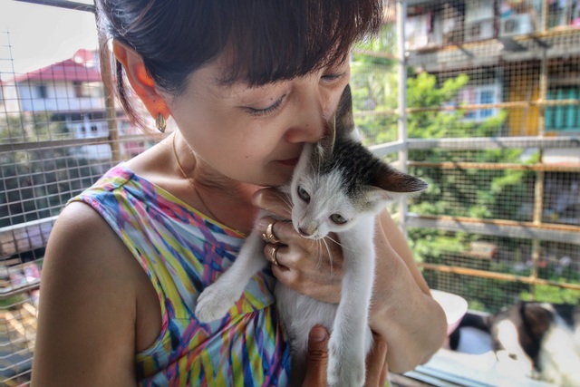 Hành trình 20 năm cứu sống hàng trăm chú mèo bị bỏ rơi của người mẹ “đơn thân” Hà Nội - 6