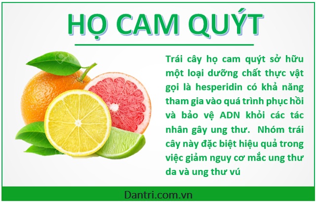 Những loại rau-củ-quả là “khắc tinh” của bệnh ung thư - 3 Những loại rau-củ-quả là “khắc tinh” của bệnh ung thư - 3