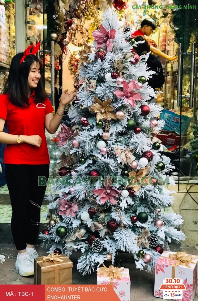 Các mẫu trang trí cây thông Noel và văn phòng đón Giáng sinh “hot” 2019 - 7